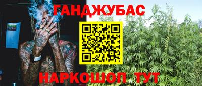 СК Обь