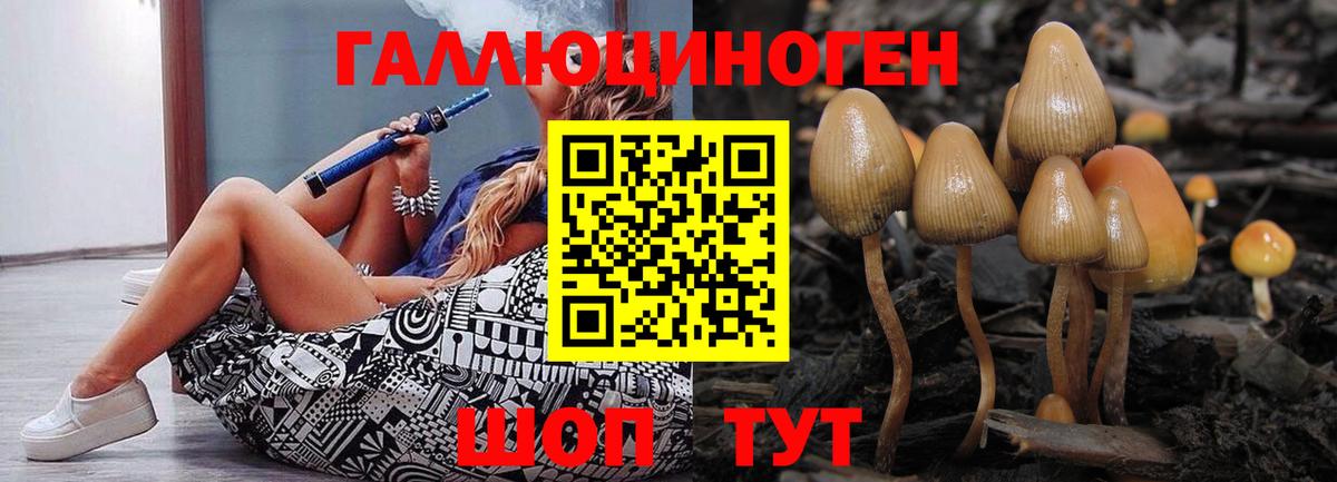 Новочеркасск  Галлюциногенные грибы GOLDEN TEACHER  Вход с VPN  Псилоцибиновые грибы прущие грибы 